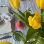 Workshop-Tisch im Studio.Elise: Terrazzo-Eierdeko aus Jesmonite, gelbe Tulpen, grüne Gläser, weiße Teller auf hellblauer Decke.